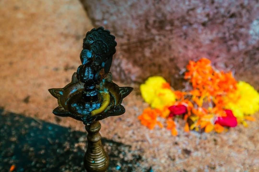 ホテル Patnem Palm Garden Patnem Beach エクステリア 写真