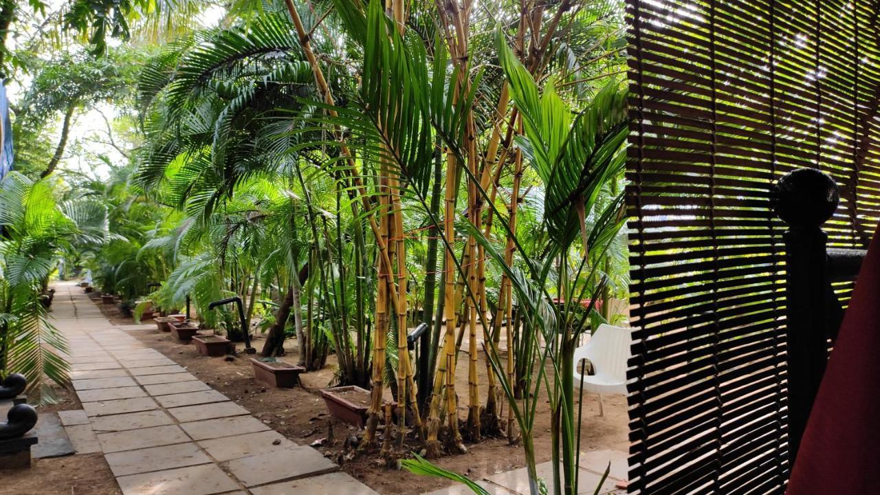 ホテル Patnem Palm Garden Patnem Beach エクステリア 写真